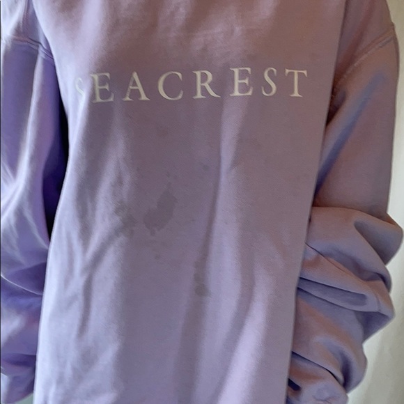 Comfort Colors Purple Seacrest Crewneck - Picture 3 of 3